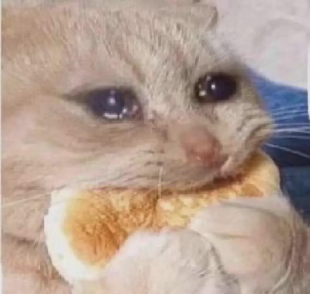 奇异果体育app-炸裂！大帽首轮16号秀！混音队友点评杨瀚森